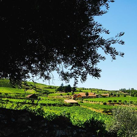 טבואקו Quinta Do Monte Travesso - Country Houses & Winery מראה חיצוני תמונה