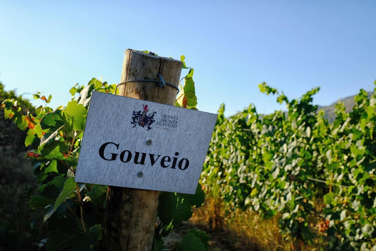טבואקו Quinta Do Monte Travesso - Country Houses & Winery מראה חיצוני תמונה