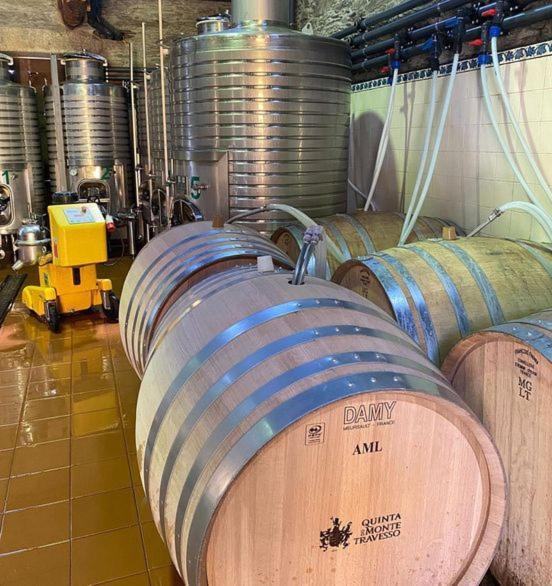 טבואקו Quinta Do Monte Travesso - Country Houses & Winery מראה חיצוני תמונה