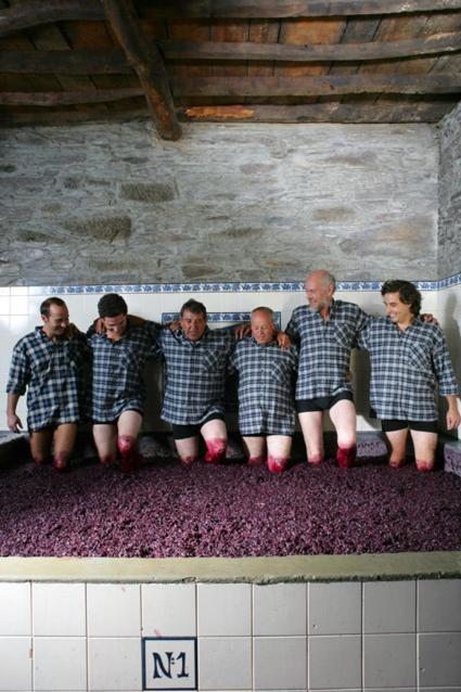 טבואקו Quinta Do Monte Travesso - Country Houses & Winery מראה חיצוני תמונה
