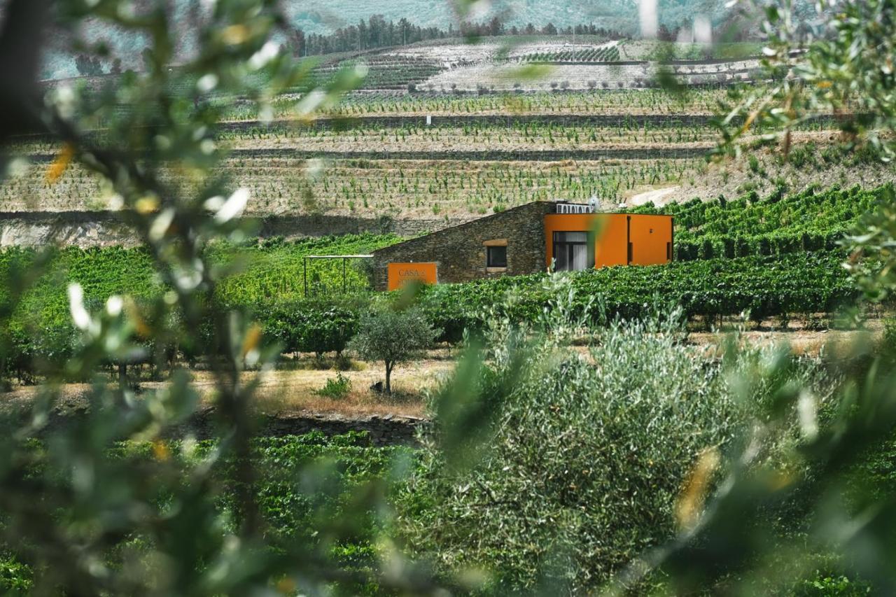 טבואקו Quinta Do Monte Travesso - Country Houses & Winery מראה חיצוני תמונה